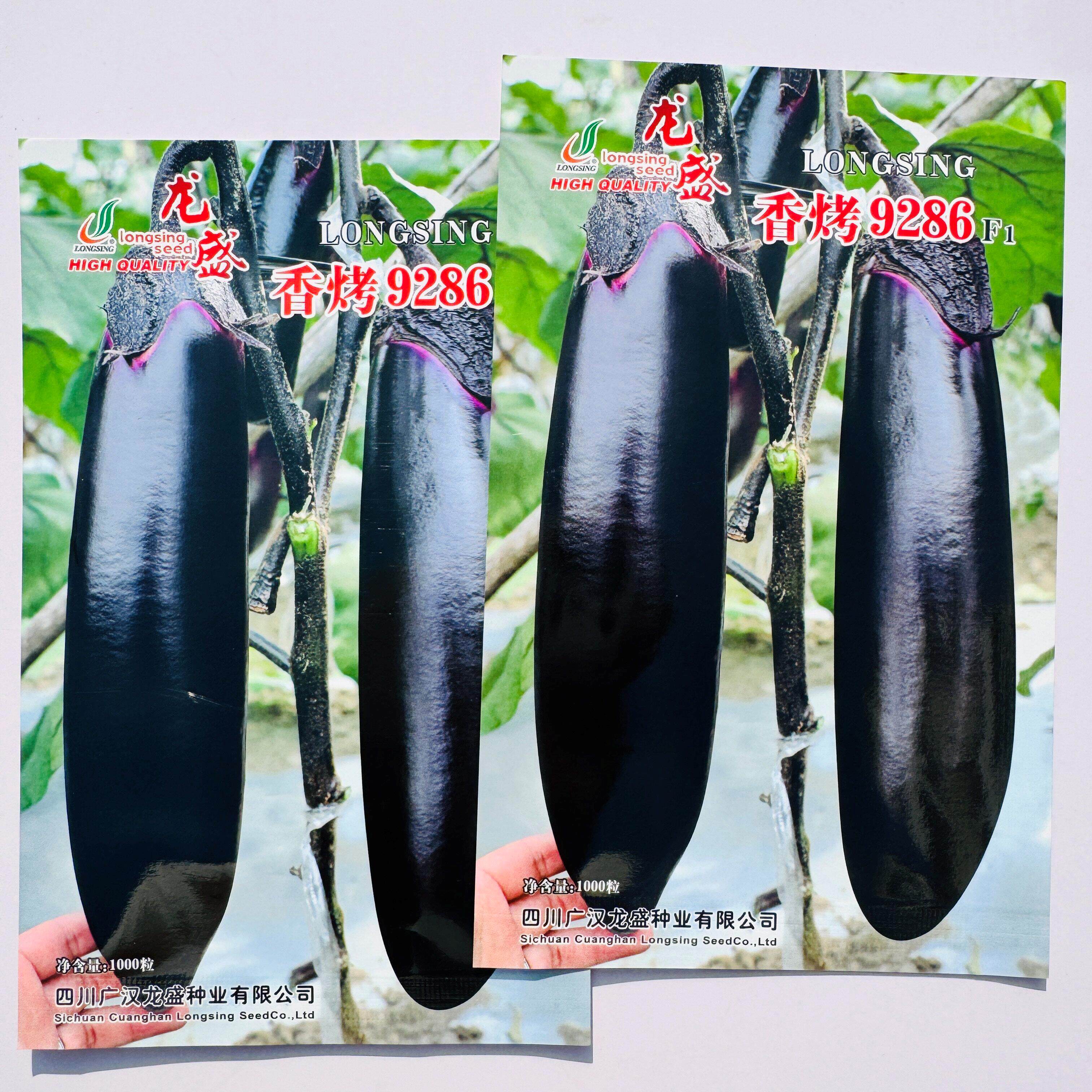 龙盛烧烤茄种子香烤9286