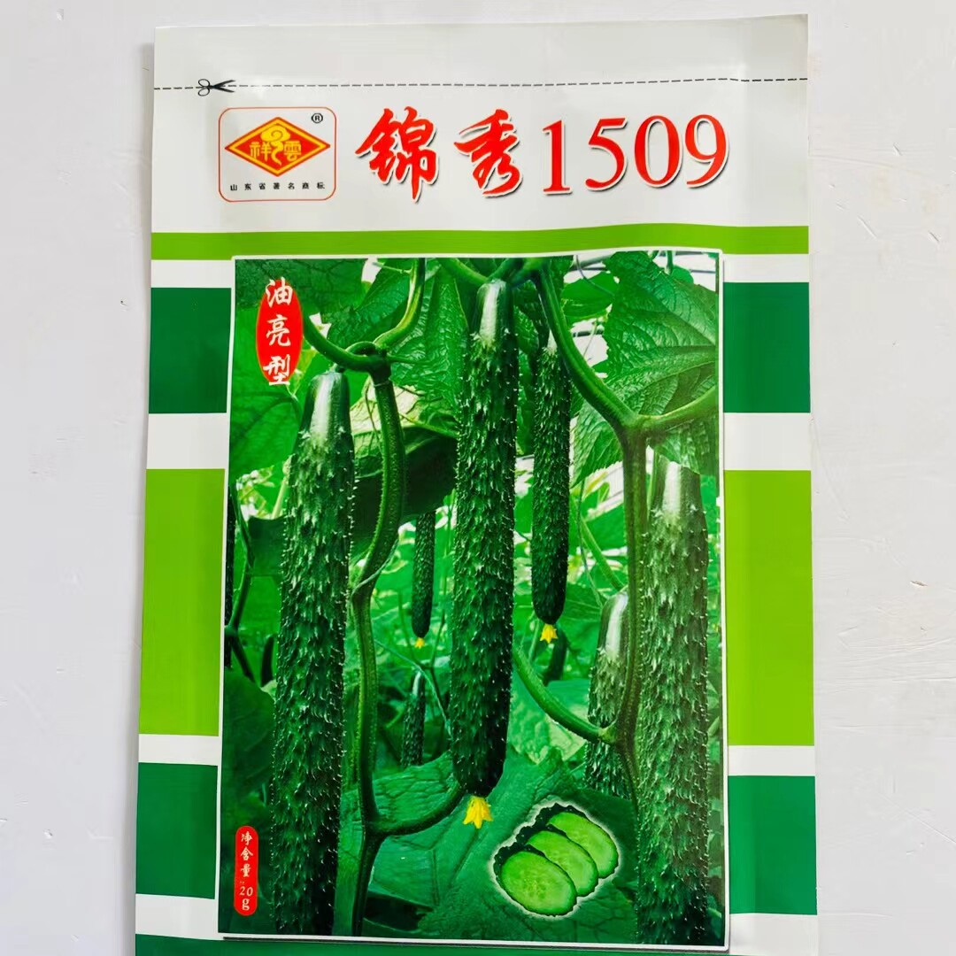 锦秀1905黄瓜种子绿瓤心肉水果春秋四季阳台盆栽高产蔬菜种籽苗孑