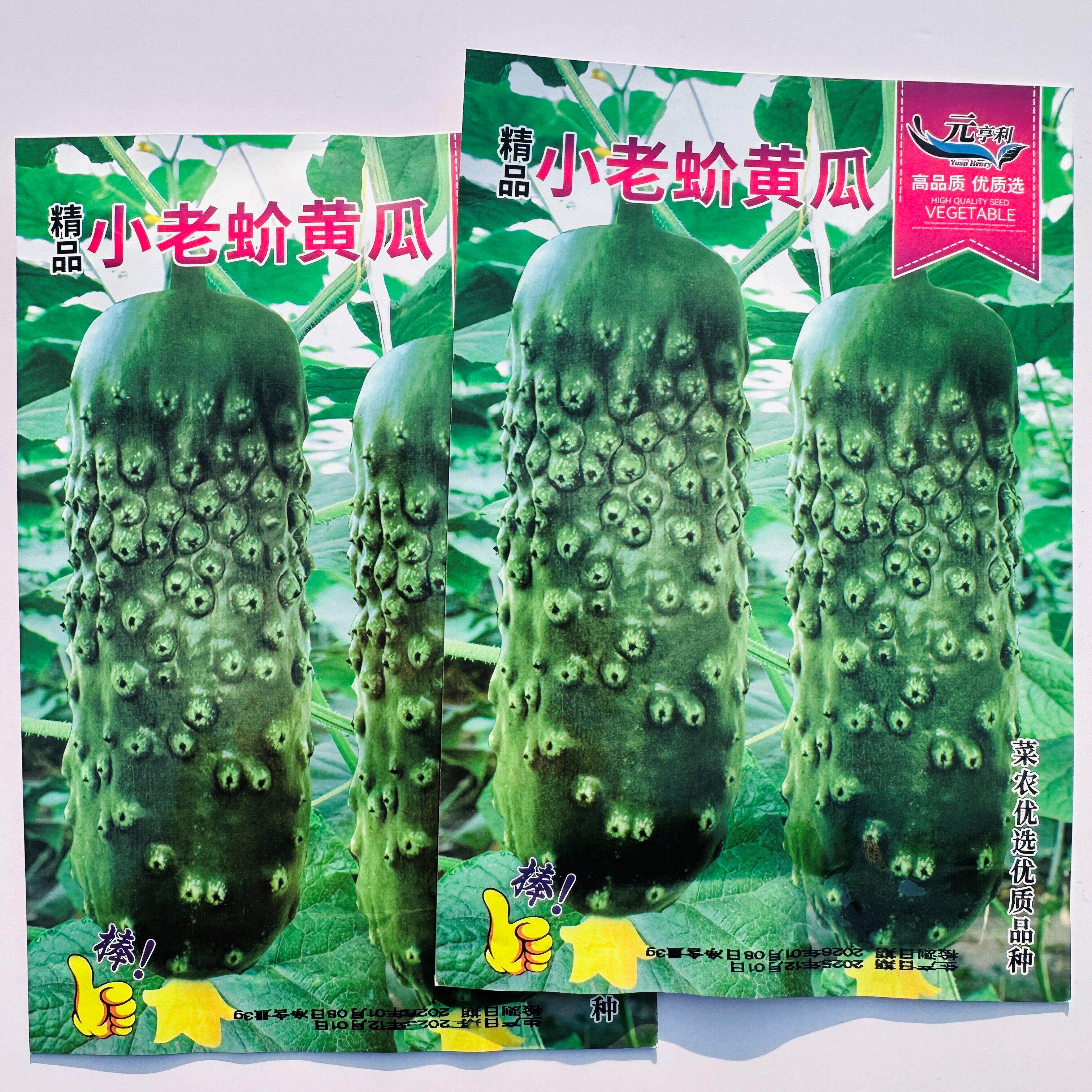 小老蚧黄瓜种子生吃甜脆