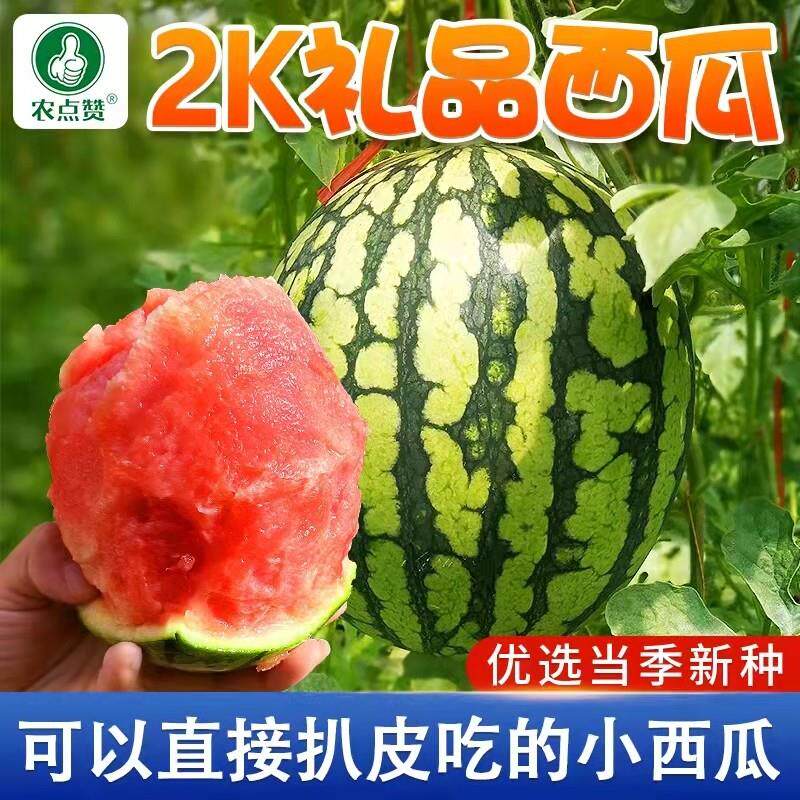 春季播2K西瓜种子礼品小西瓜花皮红肉汁多甜脆小西瓜种籽子耐储存