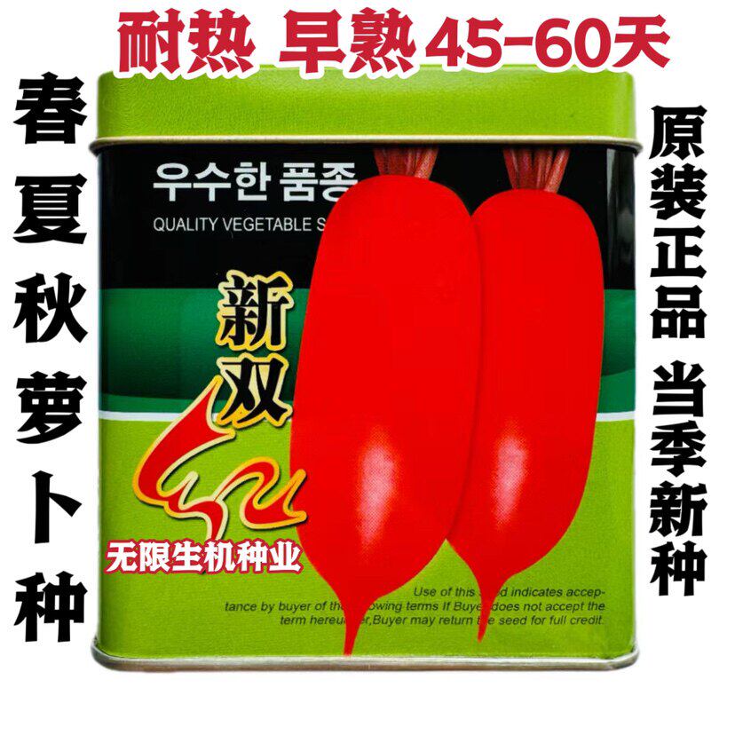 新双红萝卜种子耐热夏季