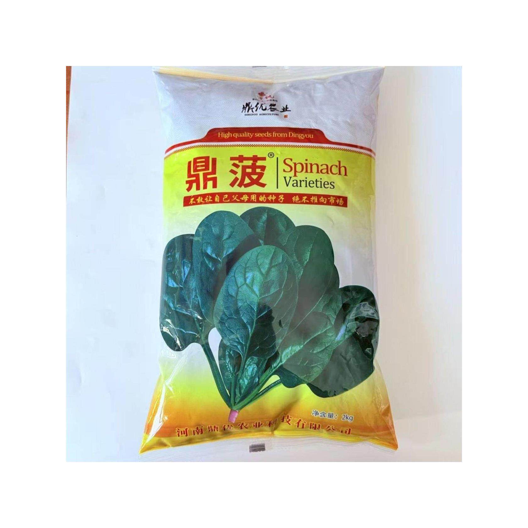 鼎优菠菜杂交种子黑厚圆