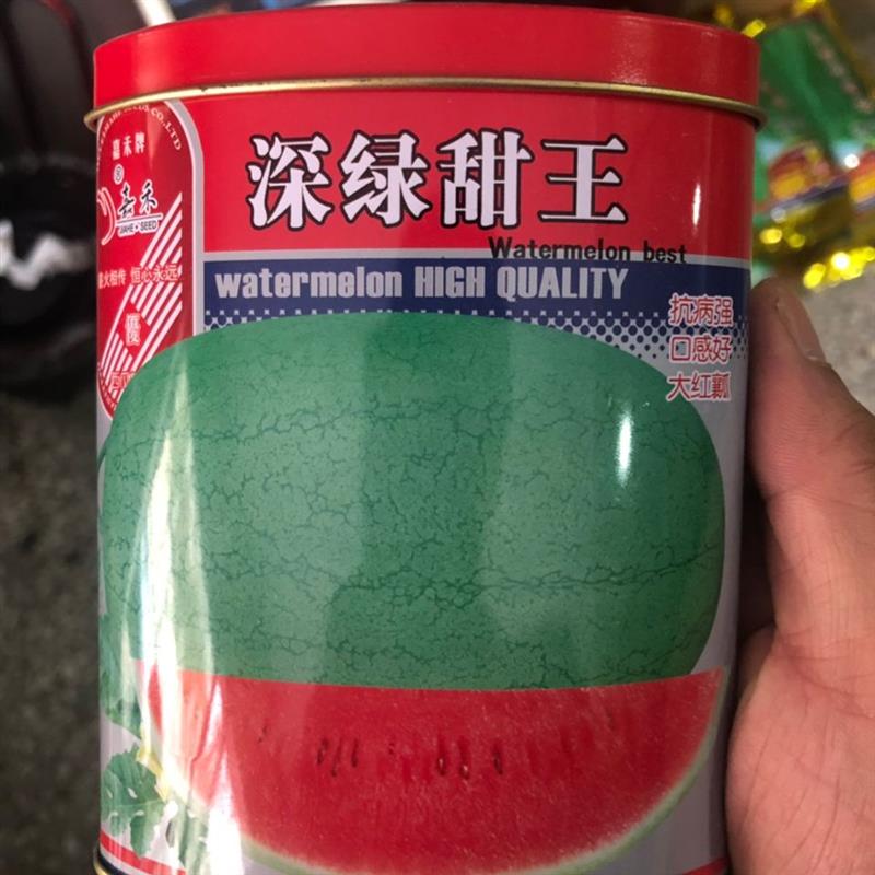 深绿甜王西瓜种子花皮沙瓤西瓜种籽特大巨大超大新疆精品非转基因