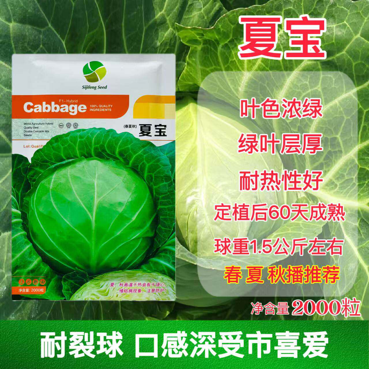 夏宝早熟圆球甘蓝种子一