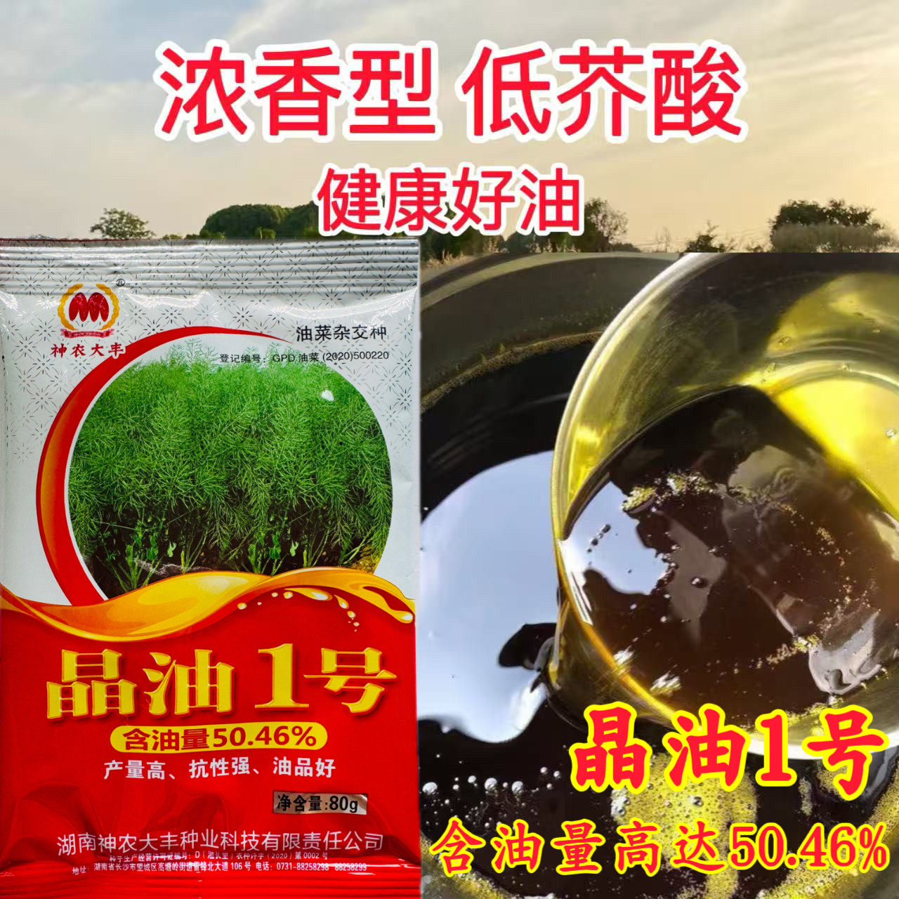 湖南大丰晶油1号油菜种子