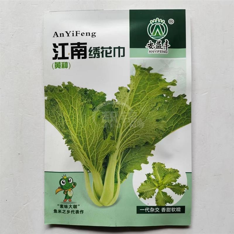 江南绣花巾青菜种子不结球白菜种孑秋冬耐寒蔬菜种籽四季南方香菜