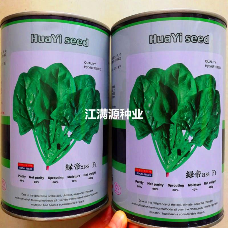 绿帝2188菠菜种子四季高产大叶菜种籽耐热耐寒大田用种蔬菜种孑