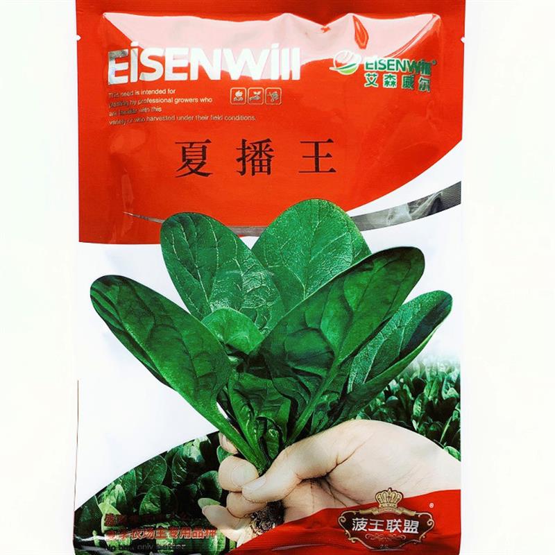 夏播王耐热菠菜种子 抗热抗高温越夏耐抽苔抗病菠菜种子籽