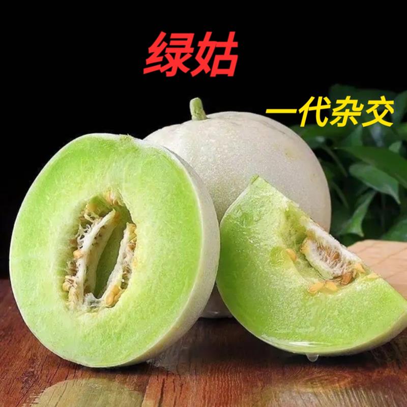 绿姑甜瓜种籽孑玉菇香瓜白皮绿肉哈密瓜种子四季播超甜细嫩无渣