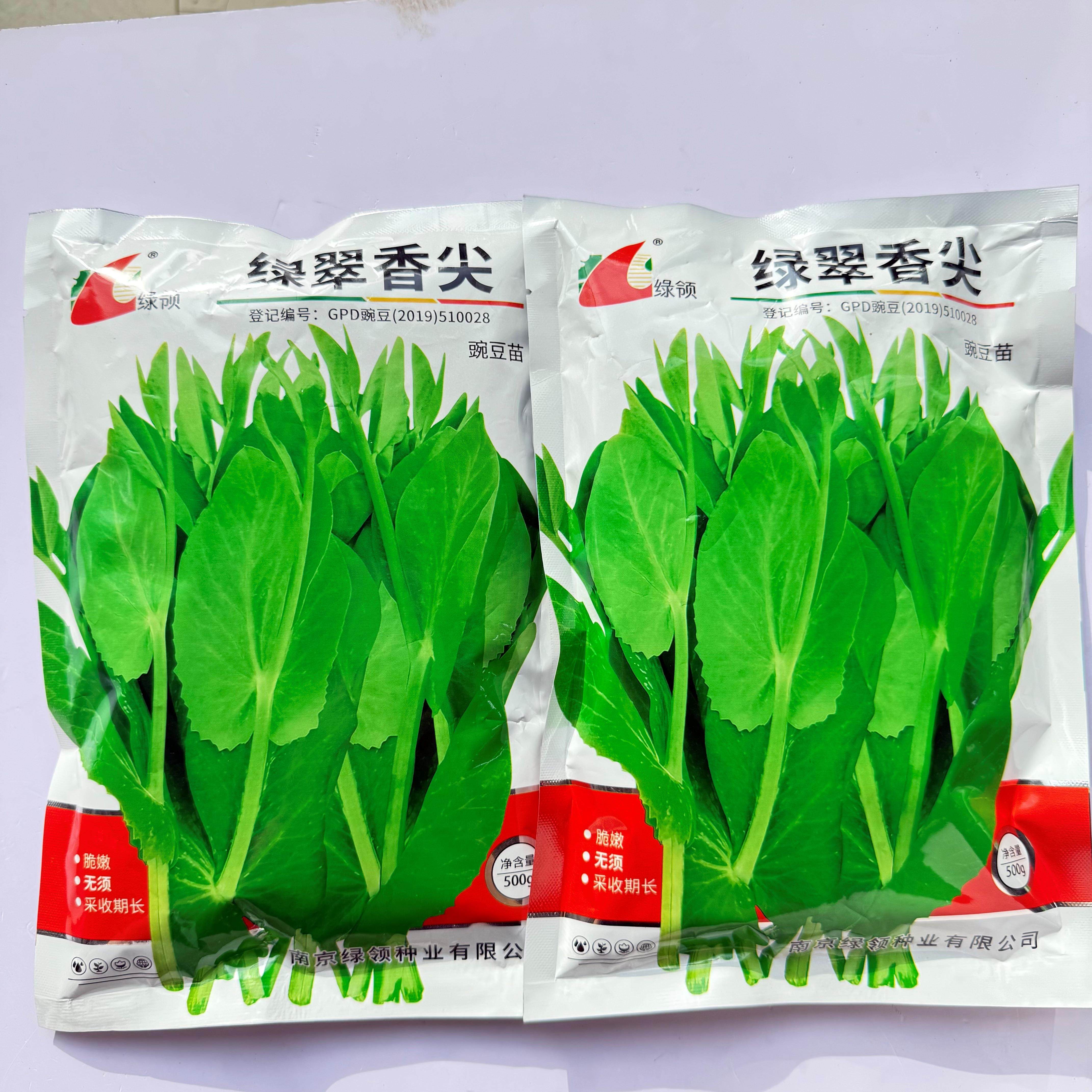 绿翠香尖四川香豌豆尖种