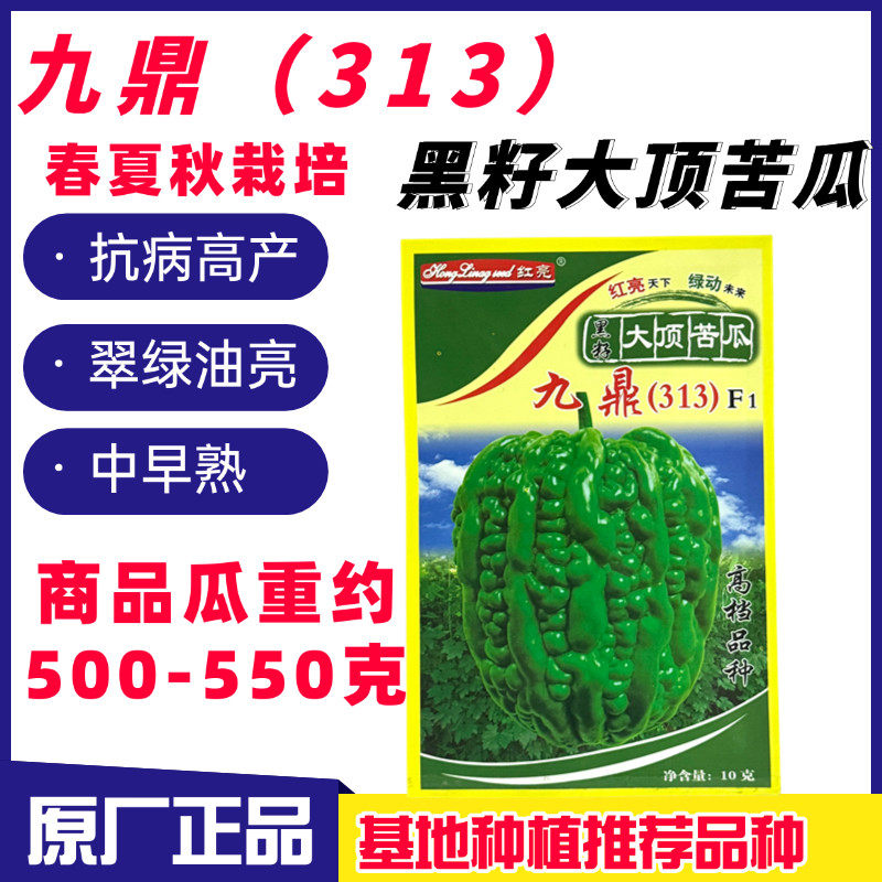 广东杜阮苦瓜种子九鼎313