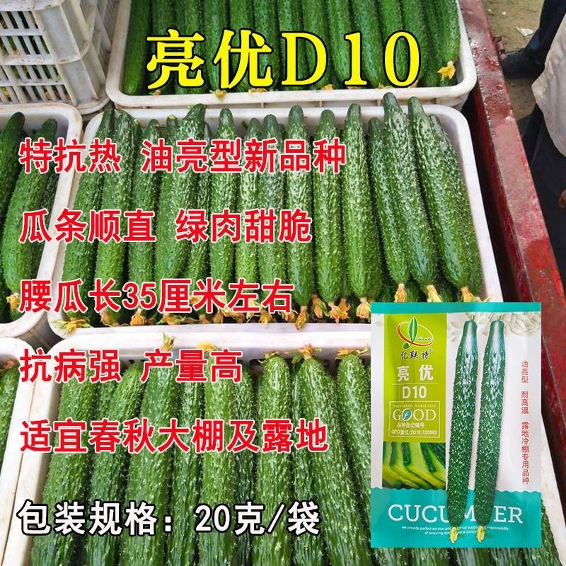 亮优D10黄瓜种子耐热油亮绿肉早熟夏季秋季露地保护地青瓜耐高温