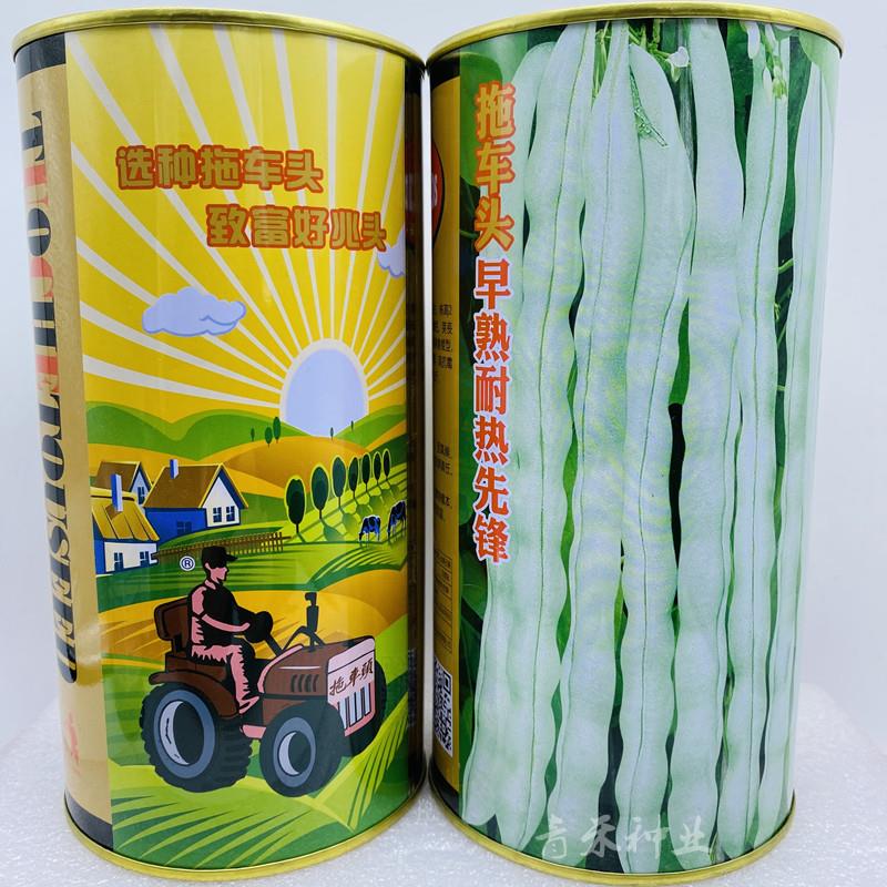早熟耐热先锋梅豆角种籽春季田园芸豆搭架菜豆四季蔬菜种子
