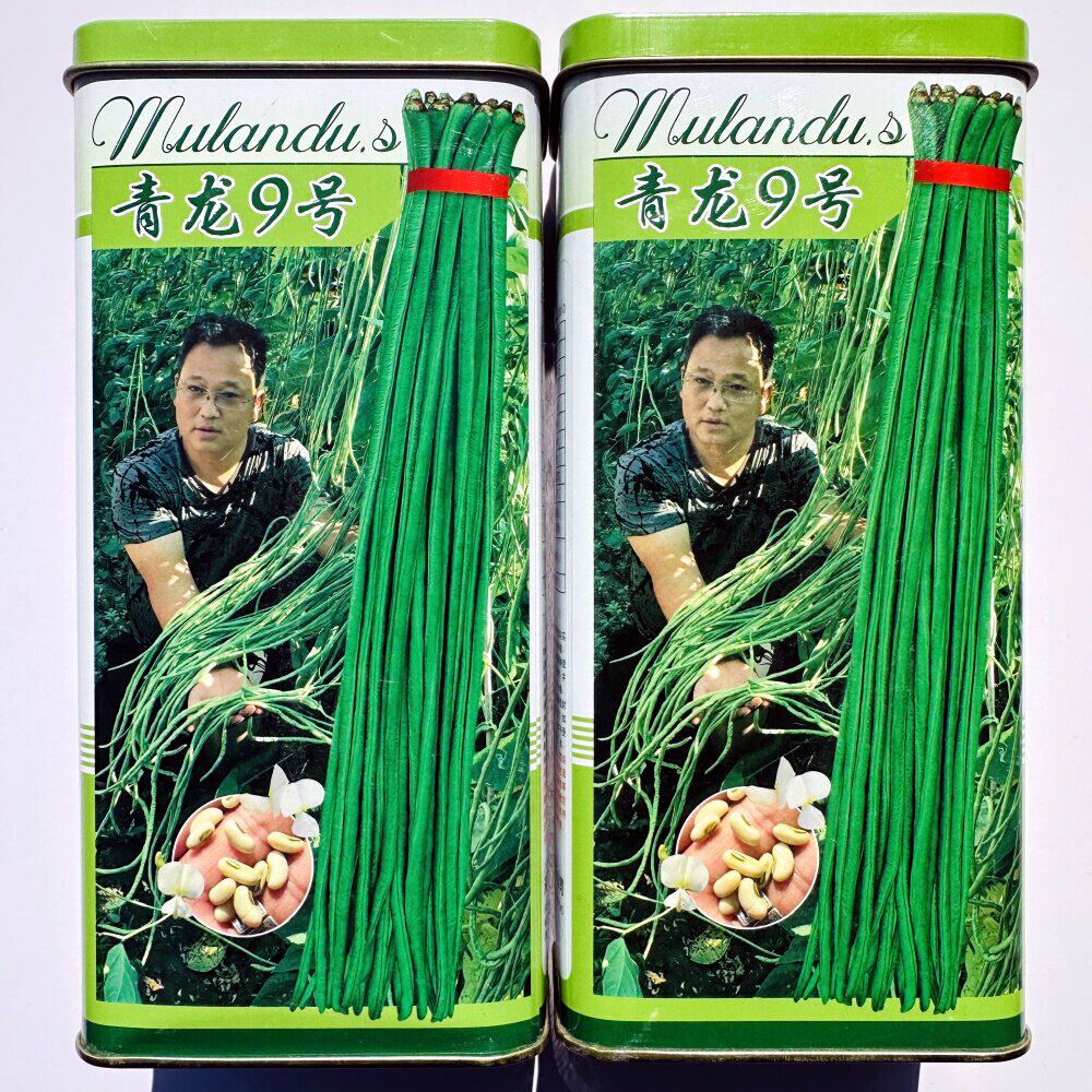 青龙9号长豆角种子青绿条