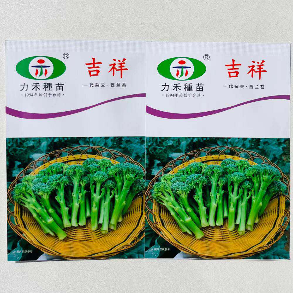 力禾吉祥一代杂交西兰苔