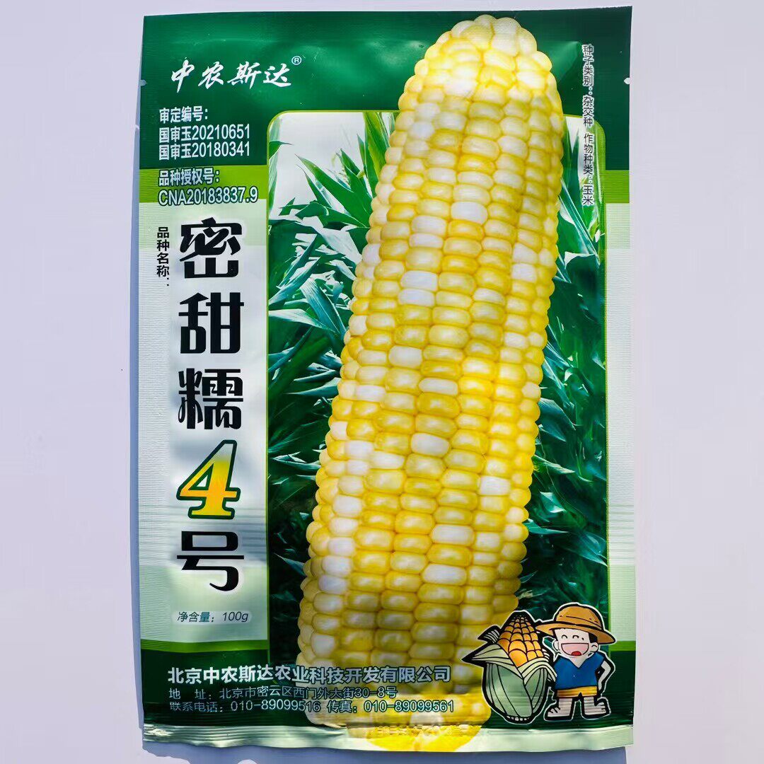 密甜糯4号金银双色玉米种