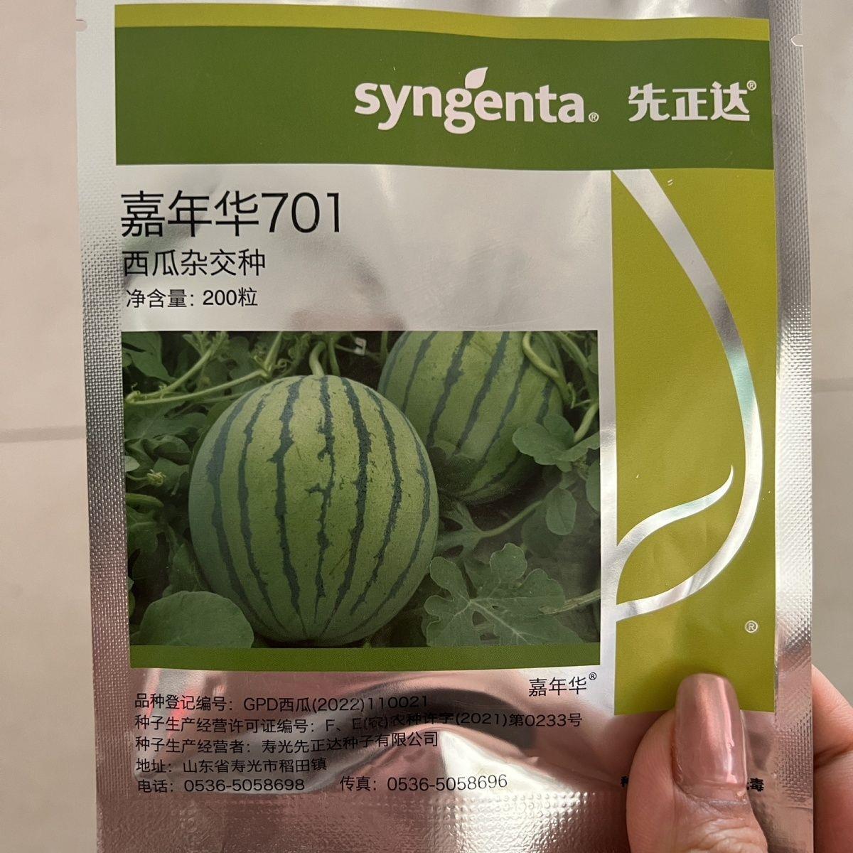 先正达嘉年华701西瓜种子 200粒好管理口感佳