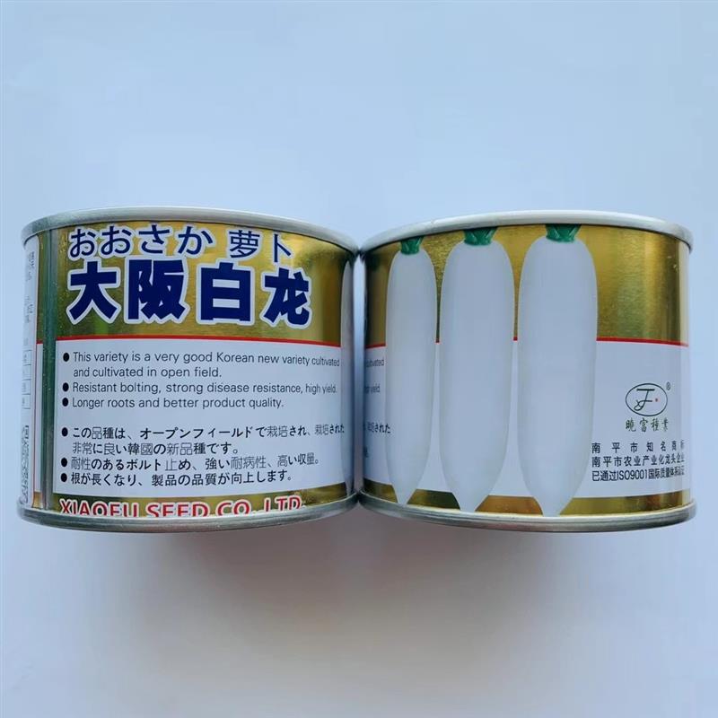 大阪白龙长白萝卜种子优质韩国新品种口感好高产抗病商品性佳秋播