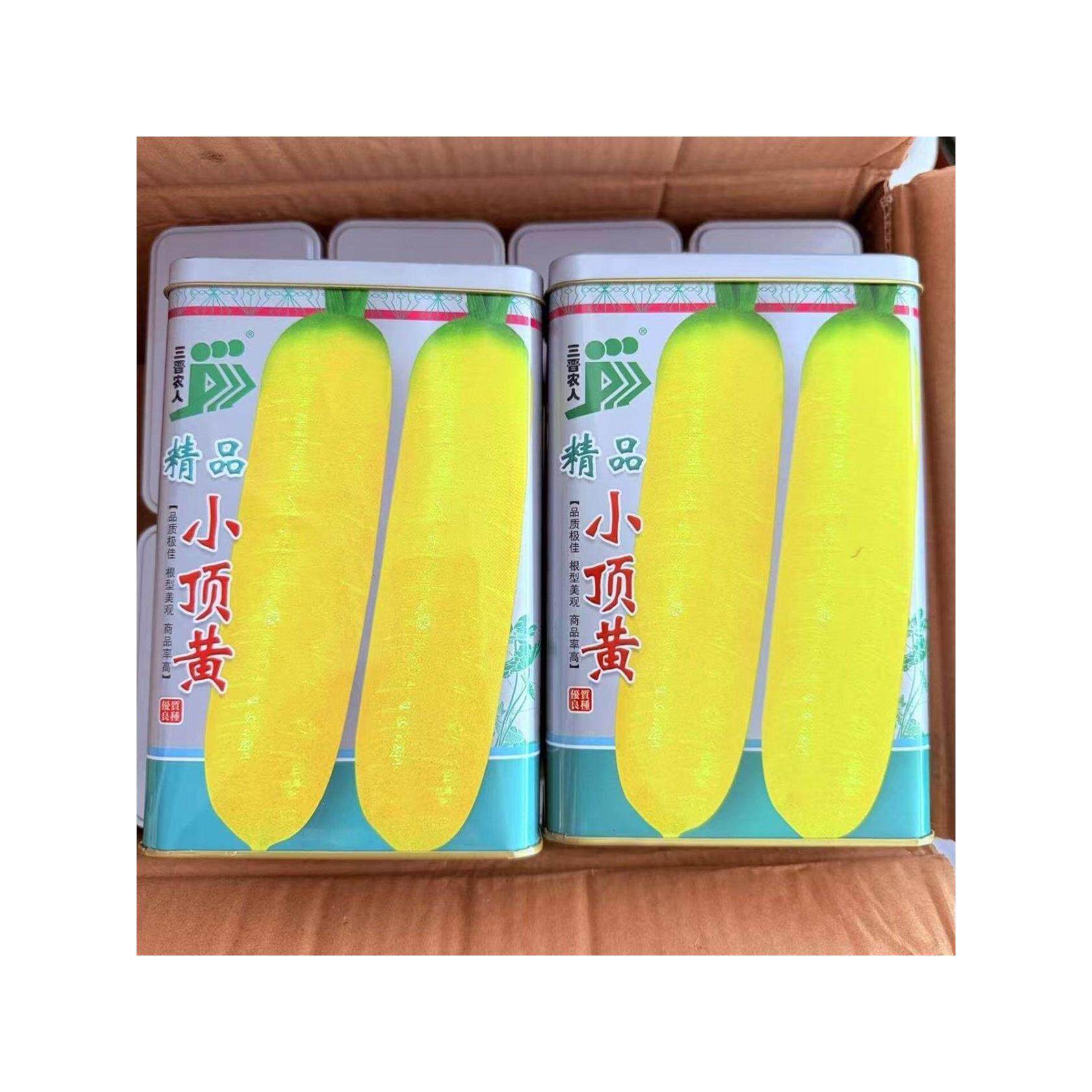 精品小顶黄胡萝卜种子生