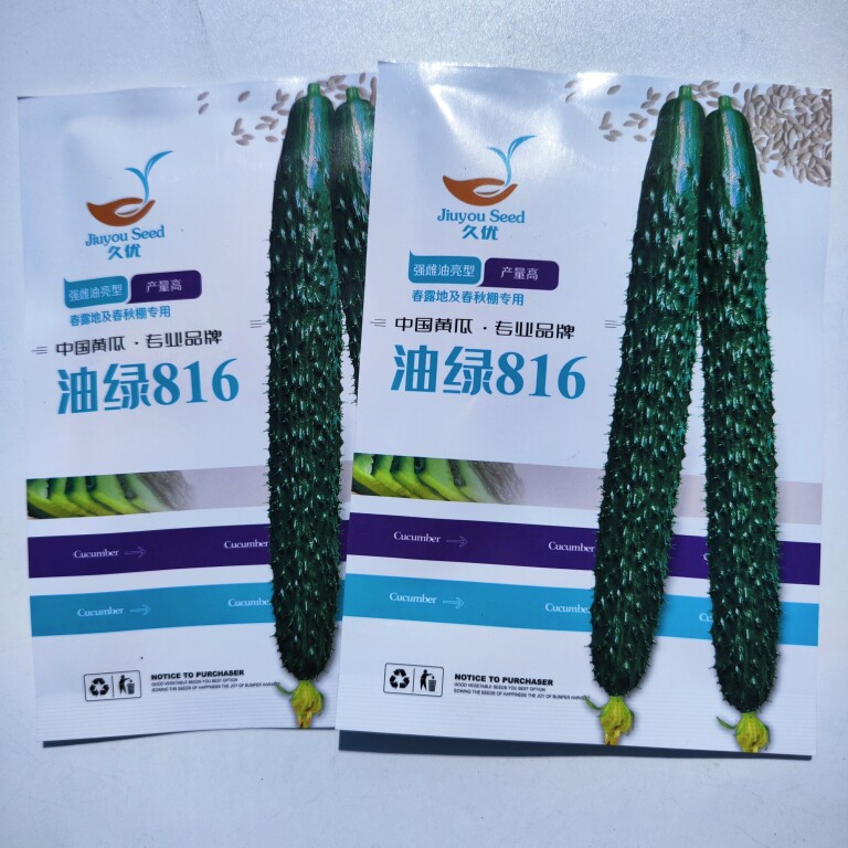 久优油绿811黄瓜种子油亮型耐高温短把密刺绿肉抗病蔬菜青瓜种籽