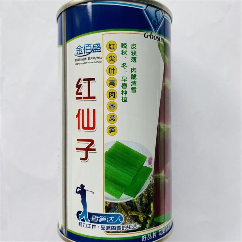 红尖叶莴笋种子青肉香莴笋莴苣菜种籽蔬菜种子耐寒红莴笋秋冬种植
