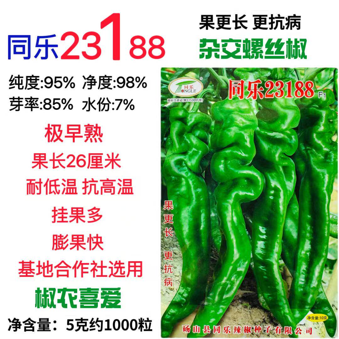 同乐23188螺丝椒种子浓辣