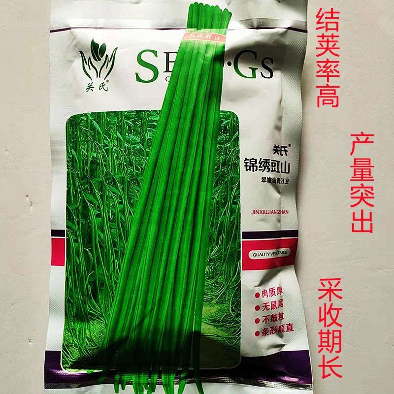 锦绣豇山豆角种子丰产抗病豆角种子基地农家豆角种子籽