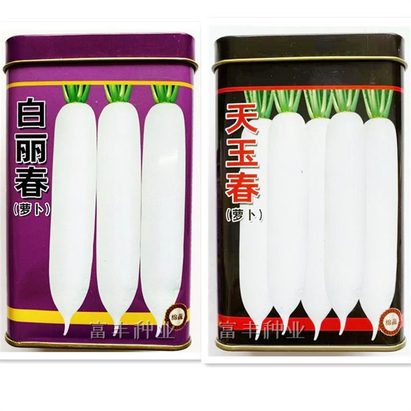 白丽春 天玉春白萝卜种子春秋播耐抽薹高产抗病耐寒大长萝卜种子