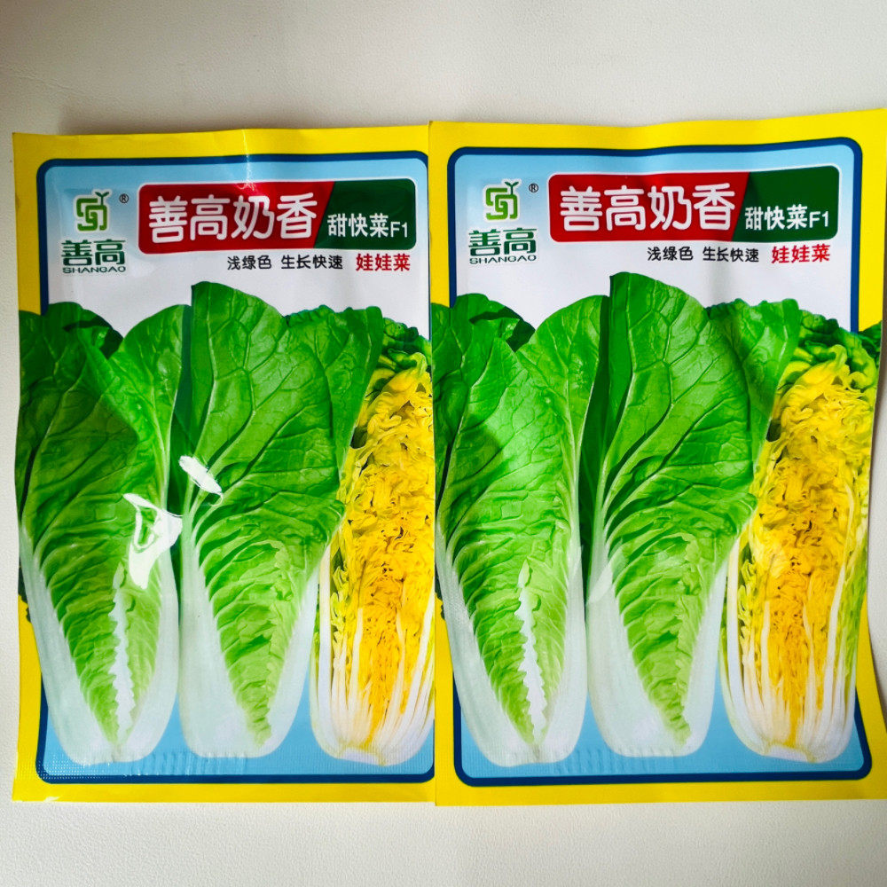 善高奶香甜快菜种子高产