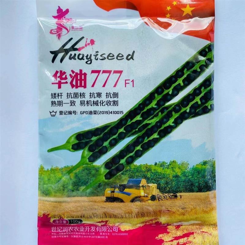 华油777油菜籽种油霸油菜种子邡油种孑华油999油菜花种苗高抗倒伏