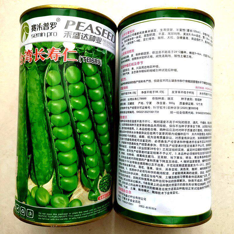 甜脆青豌豆种子籽台湾长