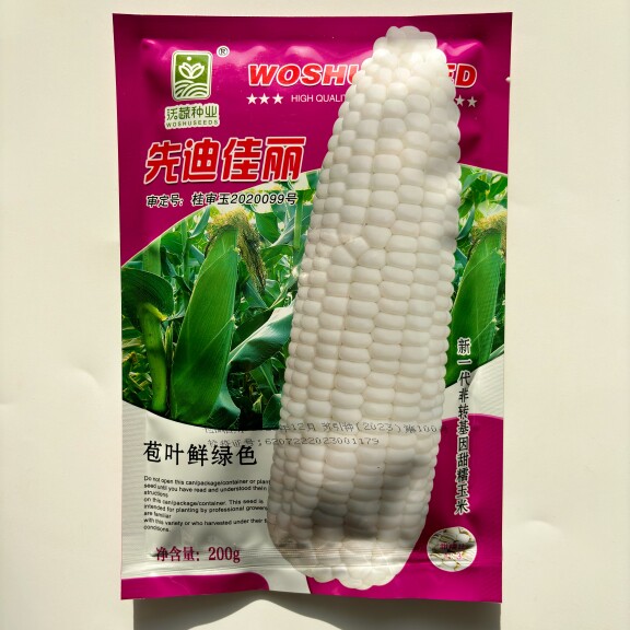 沃蔬先迪佳丽白甜糯玉米种子抗病产量高棒大苞叶鲜绿基地大户专用