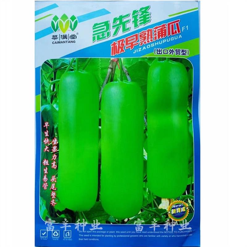 急先锋极早熟蒲瓜种子翠绿短蒲瓜种籽甜瓠子瓜菜葫芦春季蔬菜种孑