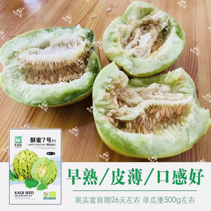 酥蜜7号花豹薄皮甜瓜种子瓜香味浓郁糖度高耐裂耐运甜瓜种子