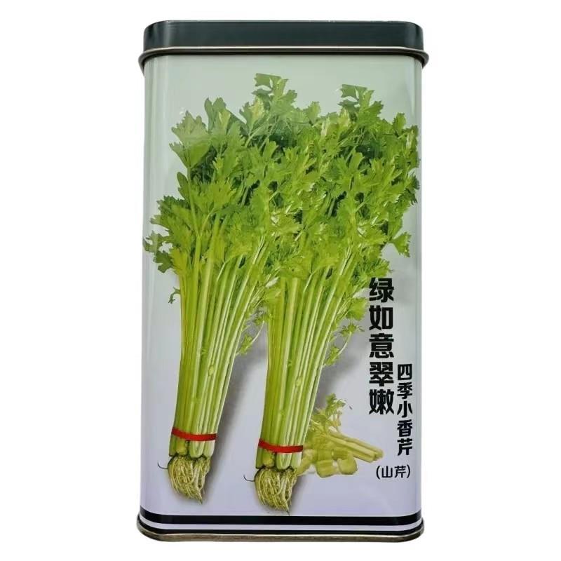 绿如意黄嫩四季小香芹种籽速生芹菜种子香味浓高产大田耐热四季播