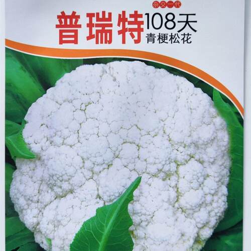 普瑞特青梗松花菜种籽春季四季庭院农家南方有机花菜蔬菜种子孑