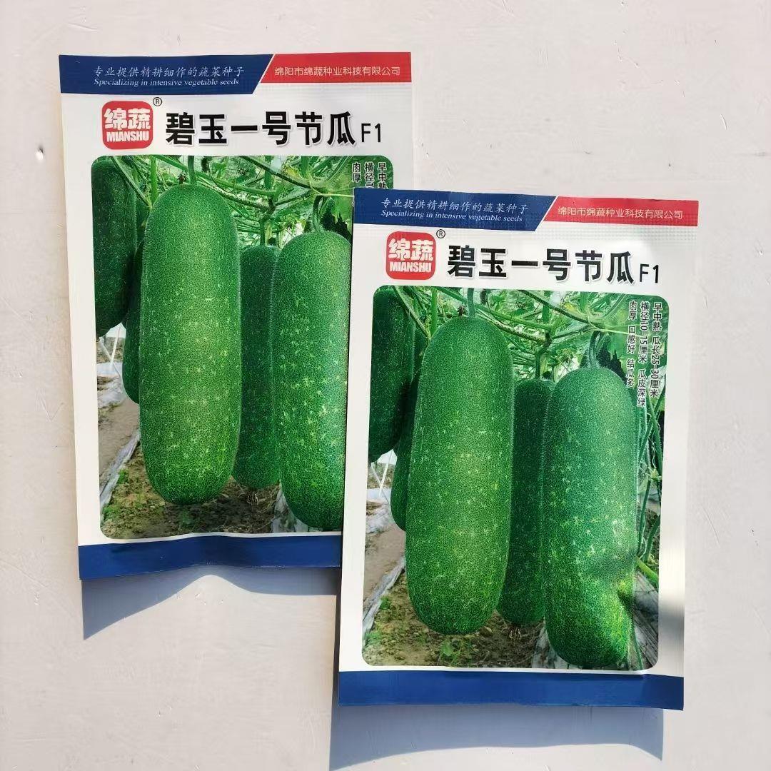 碧玉一号节瓜种籽杂交小冬瓜种子早中熟肉厚口感好结瓜多春秋季播