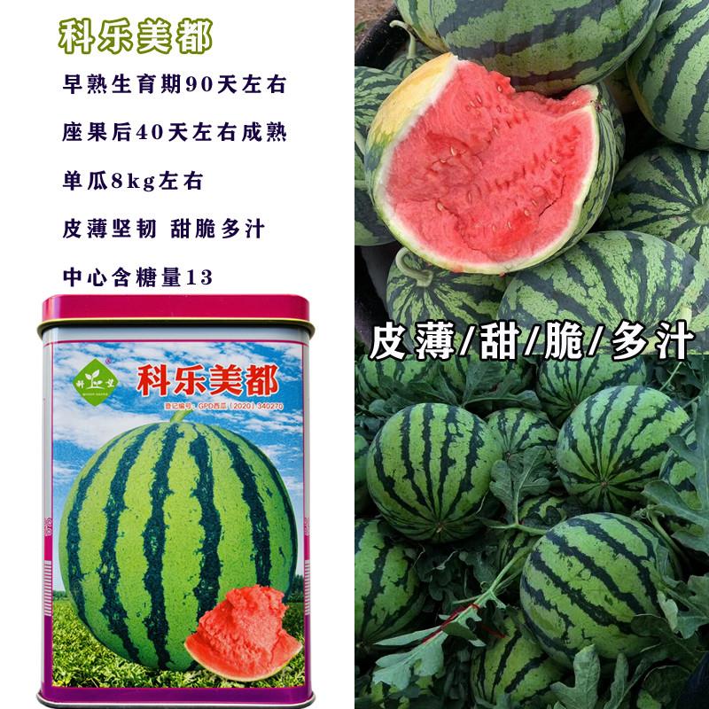 科乐美都西瓜种子耐热抗病早熟春秋播种皮薄甜脆多汁蔬菜种子包邮