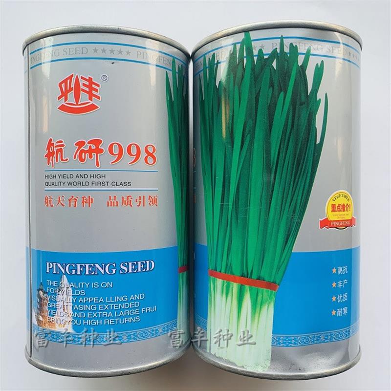 航研998韭菜种子耐冬耐冻不休眠韭菜种籽叶片肥厚抗病耐寒韭菜籽