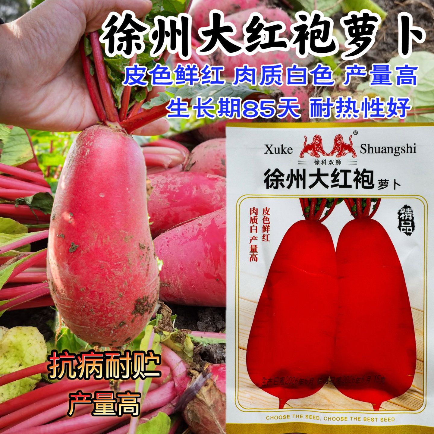 红萝卜种子大红袍长五樱图片