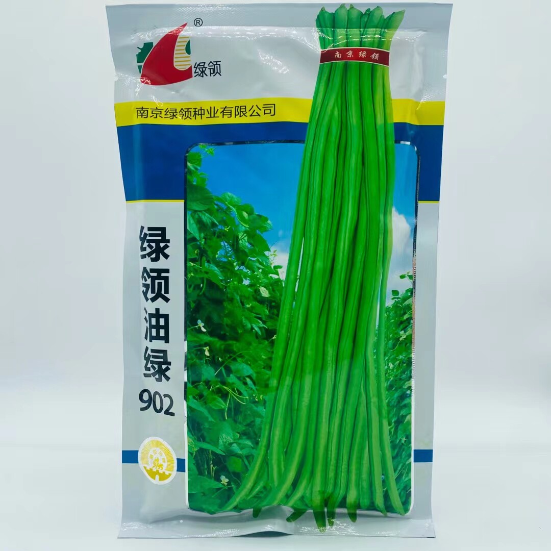 绿领油绿902长豆角种子豇豆种籽豆荚粗细均匀整齐 早熟品质好