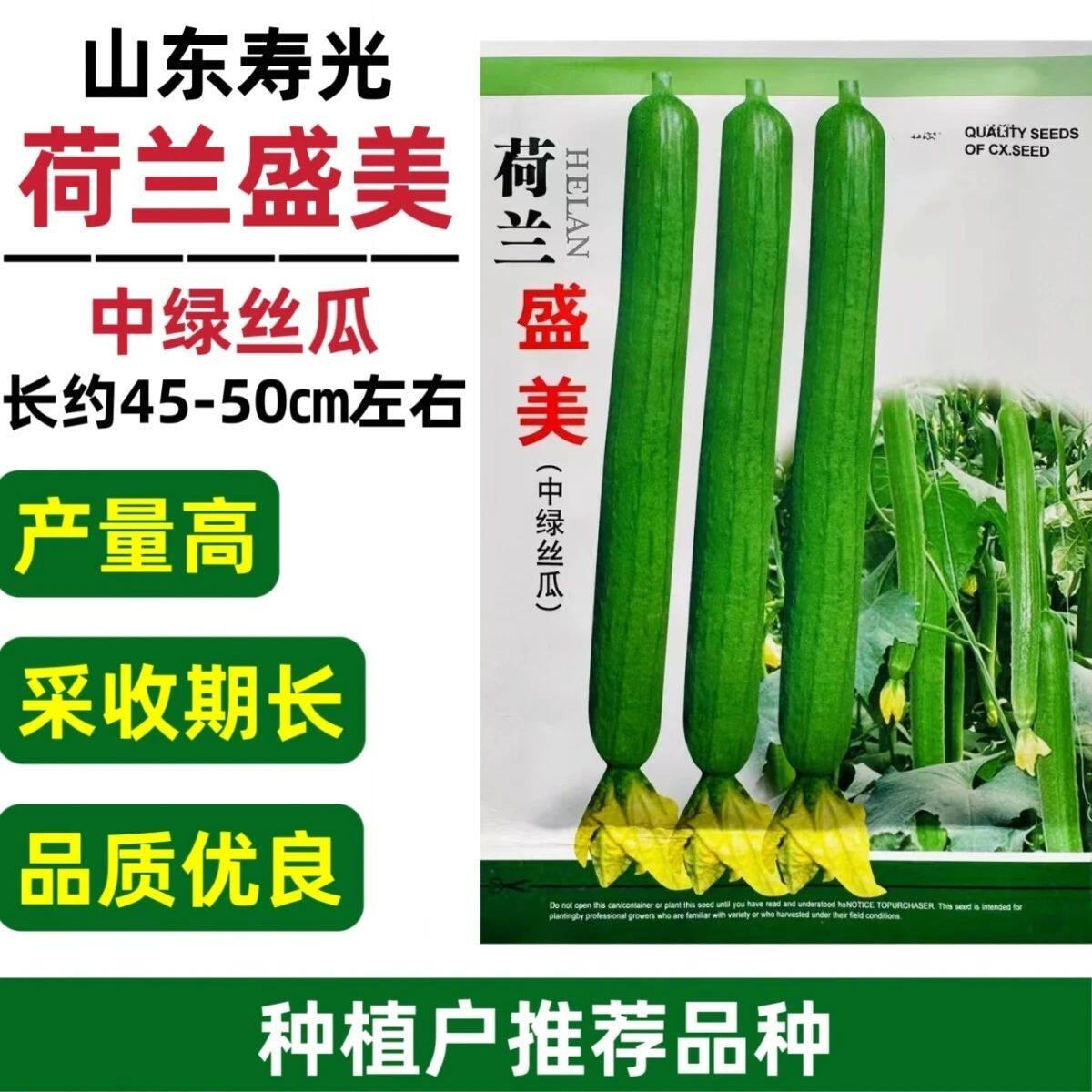 山东寿光荷兰盛美丝瓜种