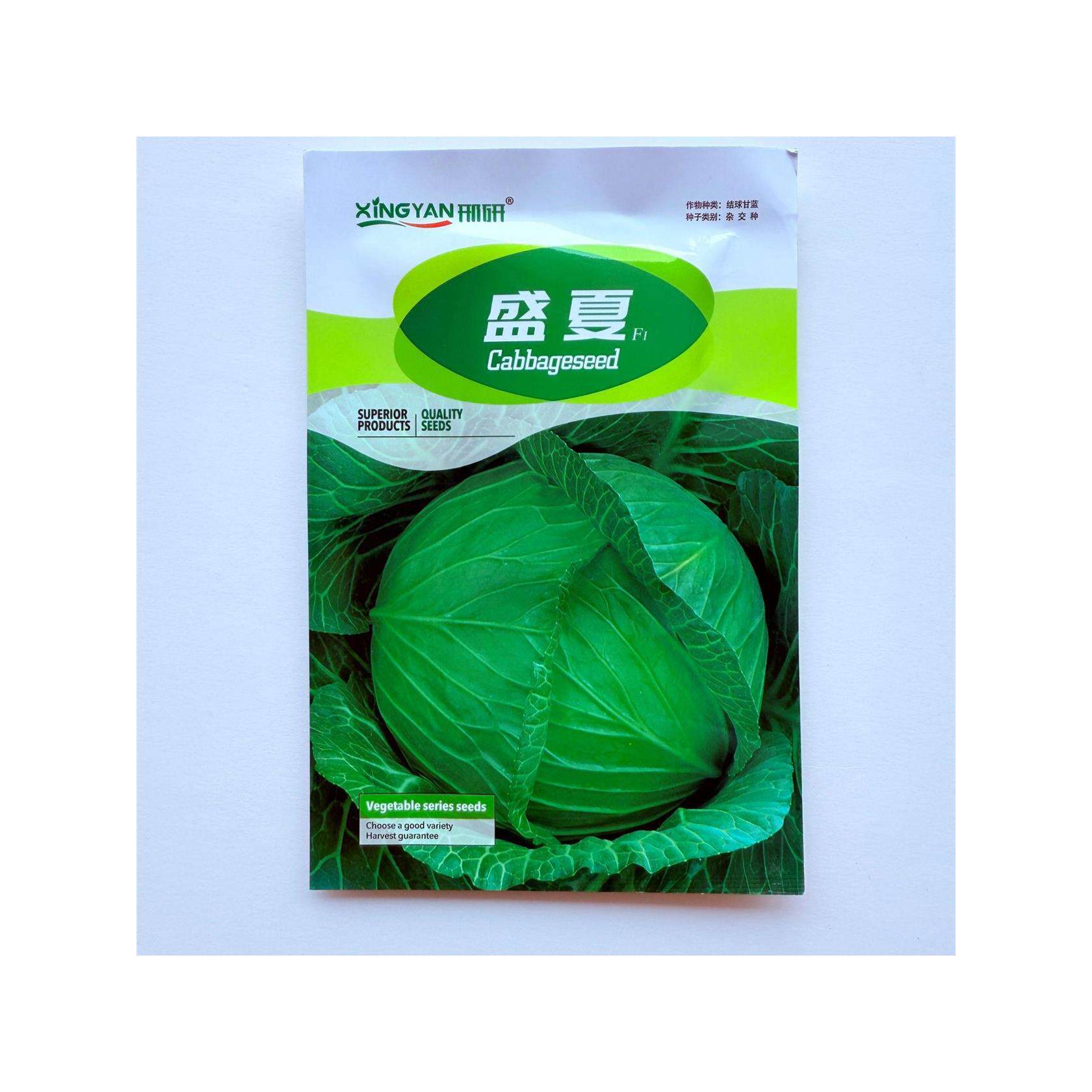 盛夏甘蓝种子中早熟扁圆
