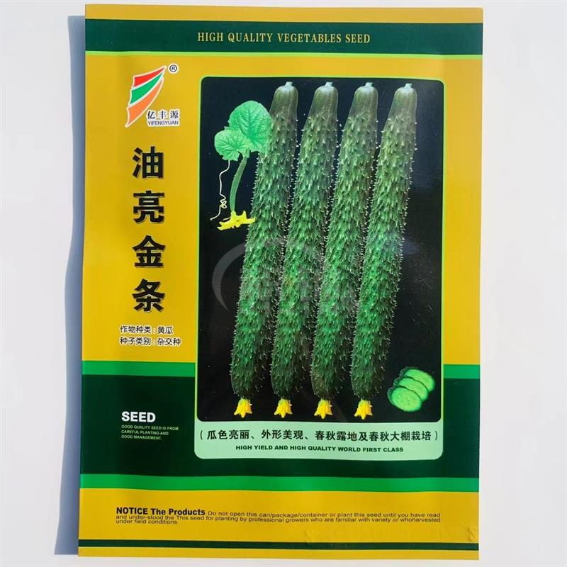 油亮金条黄瓜种子绿肉密刺长黄瓜种籽春秋青瓜种子耐热油亮型种孑