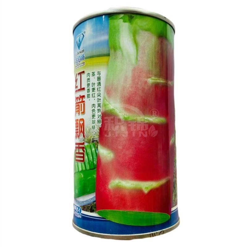 红箭飘香莴笋种子高端红尖叶耐寒香莴苣籽莴苔杆子秋冬季蔬菜种子