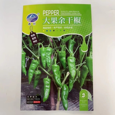 名川精品大果余干椒辣椒种籽早熟高产薄皮香辣正宗余干辣椒种子