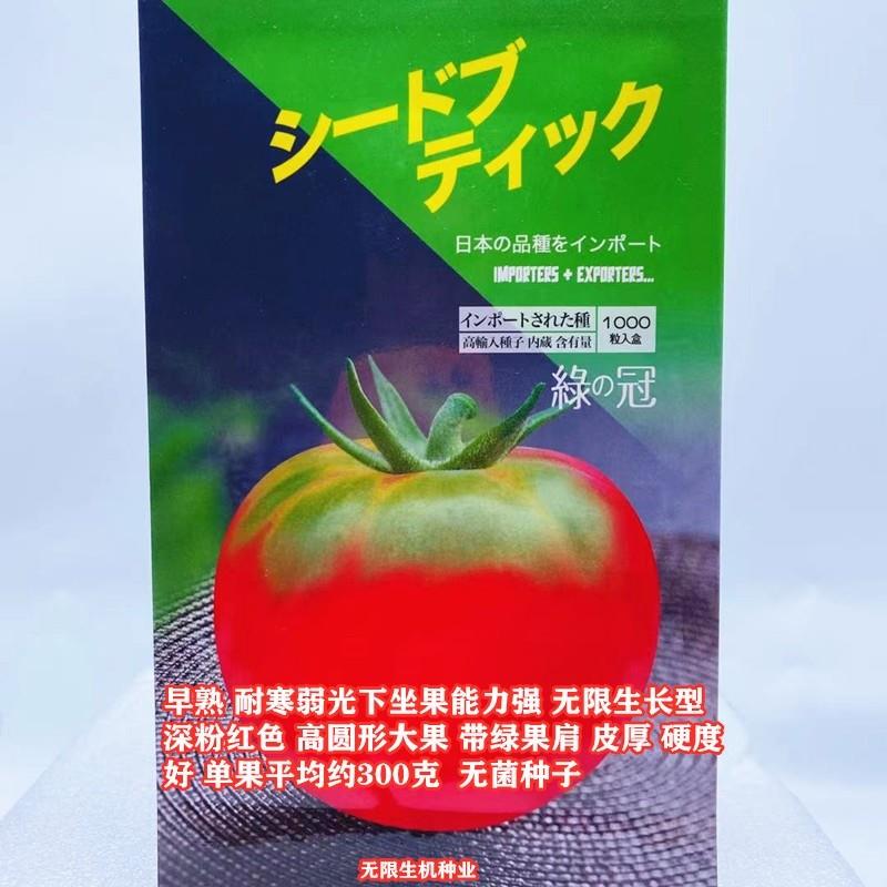 绿冠番茄种子无限生长型粉果西红柿种籽高产抗病带绿果肩柿子种孑