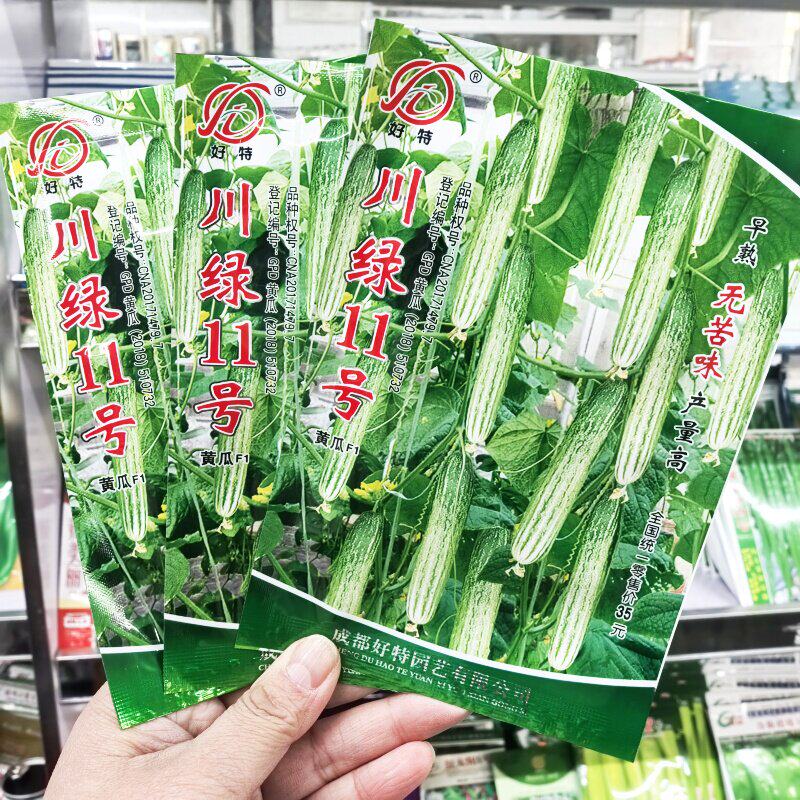 川绿11号黄瓜种子无苦味