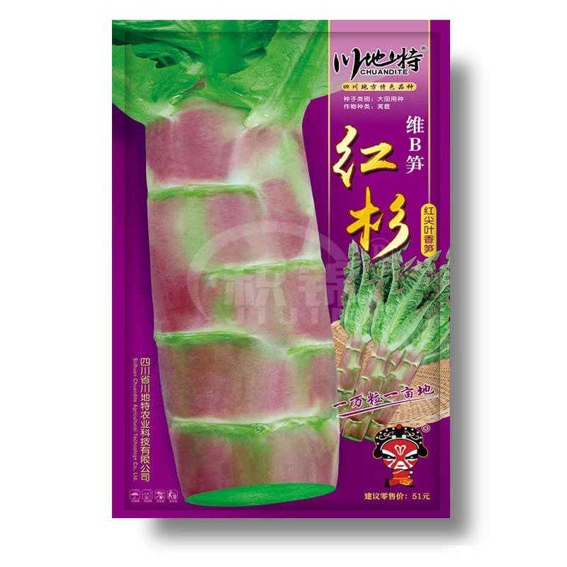 川地特红杉莴笋种子富含丰富的维B笋蔬菜种子红尖叶莴笋红皮绿肉