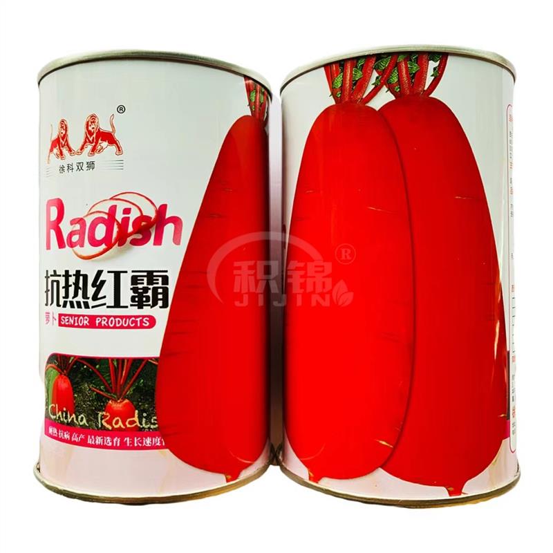 徐科抗热红霸萝卜种子耐热红萝卜种籽红皮白肉脆甜多汁农家秋播种